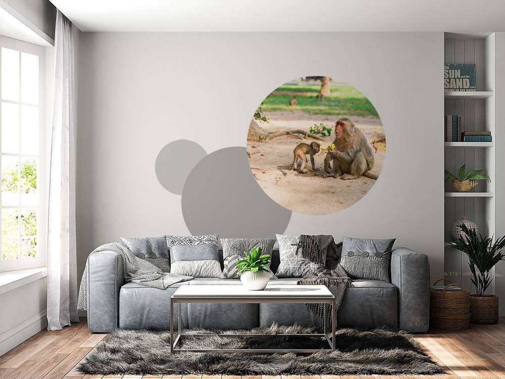 Moeder aap geeft haar kindje te eten