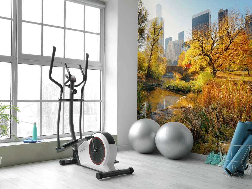 Manhattan Central Park in de herfst