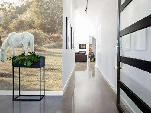 Grazende paarden