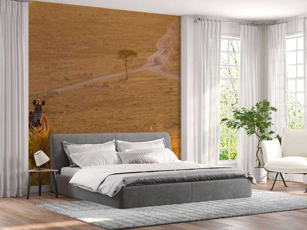 Zebra maakt een wandeling bij zonsondergang