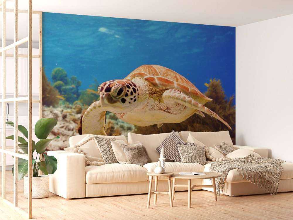 Groene zeeschildpad aan het zwemmen