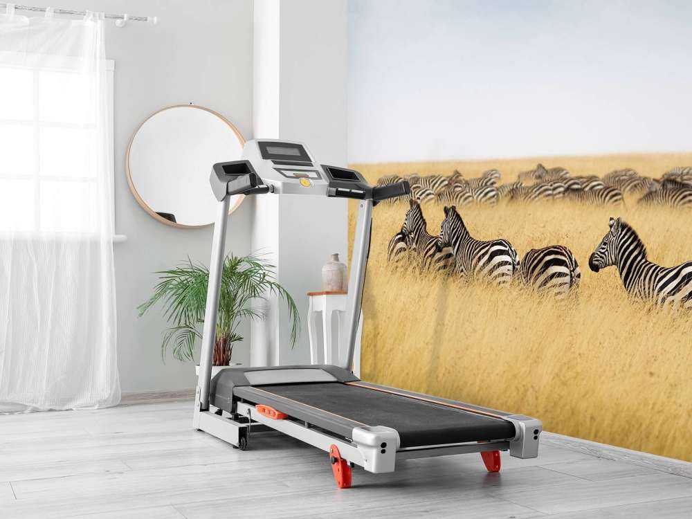 Kudde zebra's in Kenia