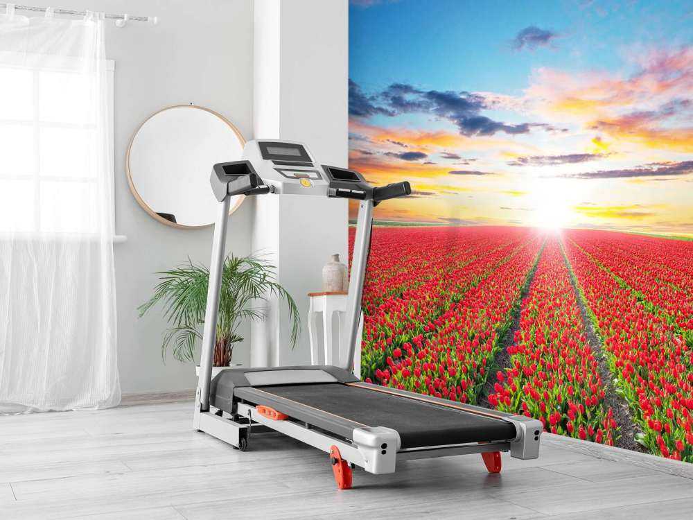 Rode tulpenveld bij zonsopkomst