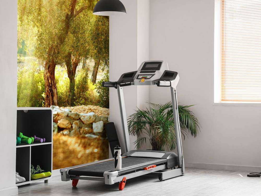 Mediterrane Olijven Boomgaard