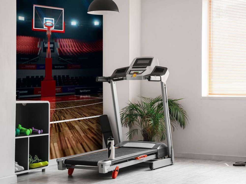 Luxueuze basketbal arena