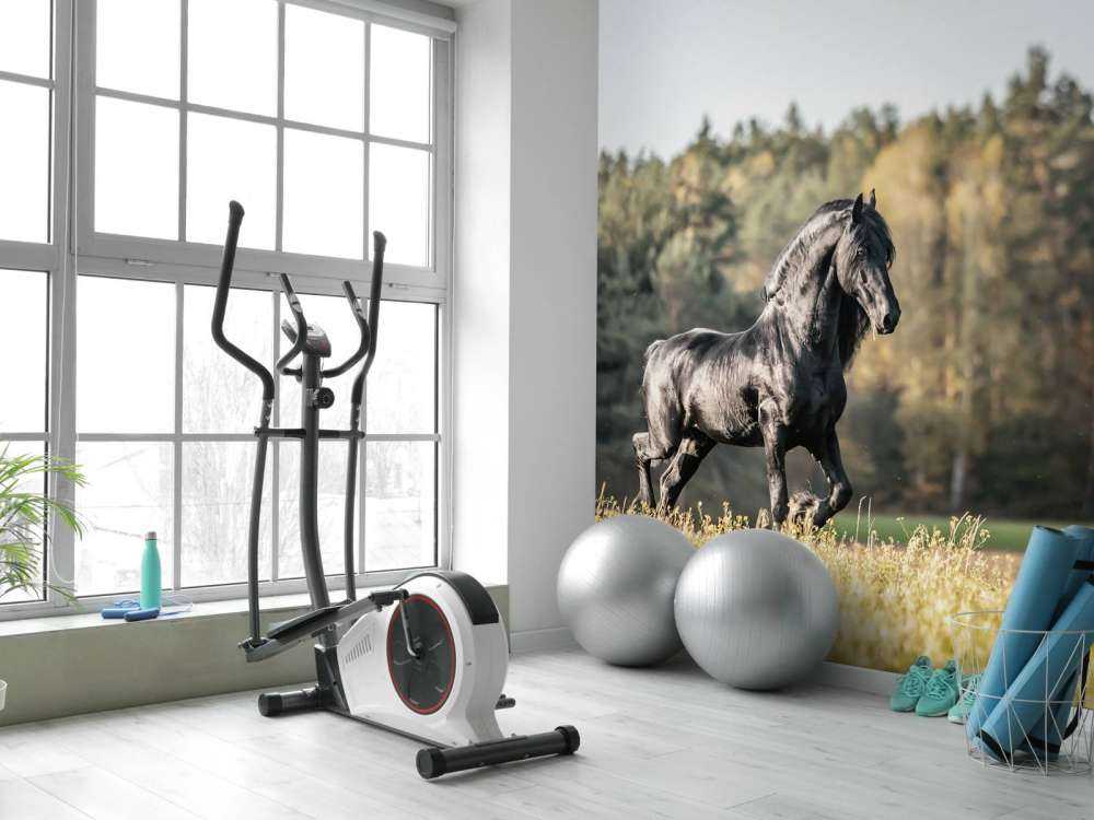 Fries Paard op het gras omringd door bomen