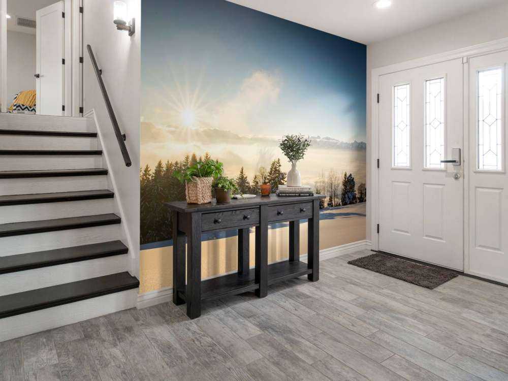 Zonsopkomst boven besneeuwd dennenbos