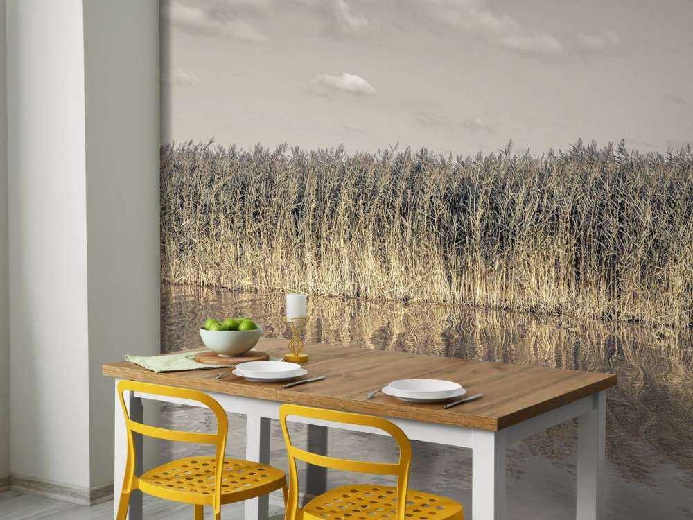 Tall reeds lining the banks of a calm canal