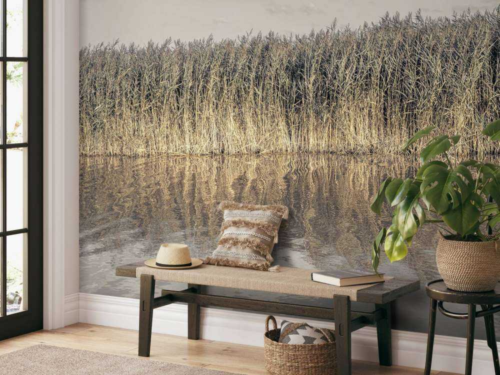 Tall reeds lining the banks of a calm canal