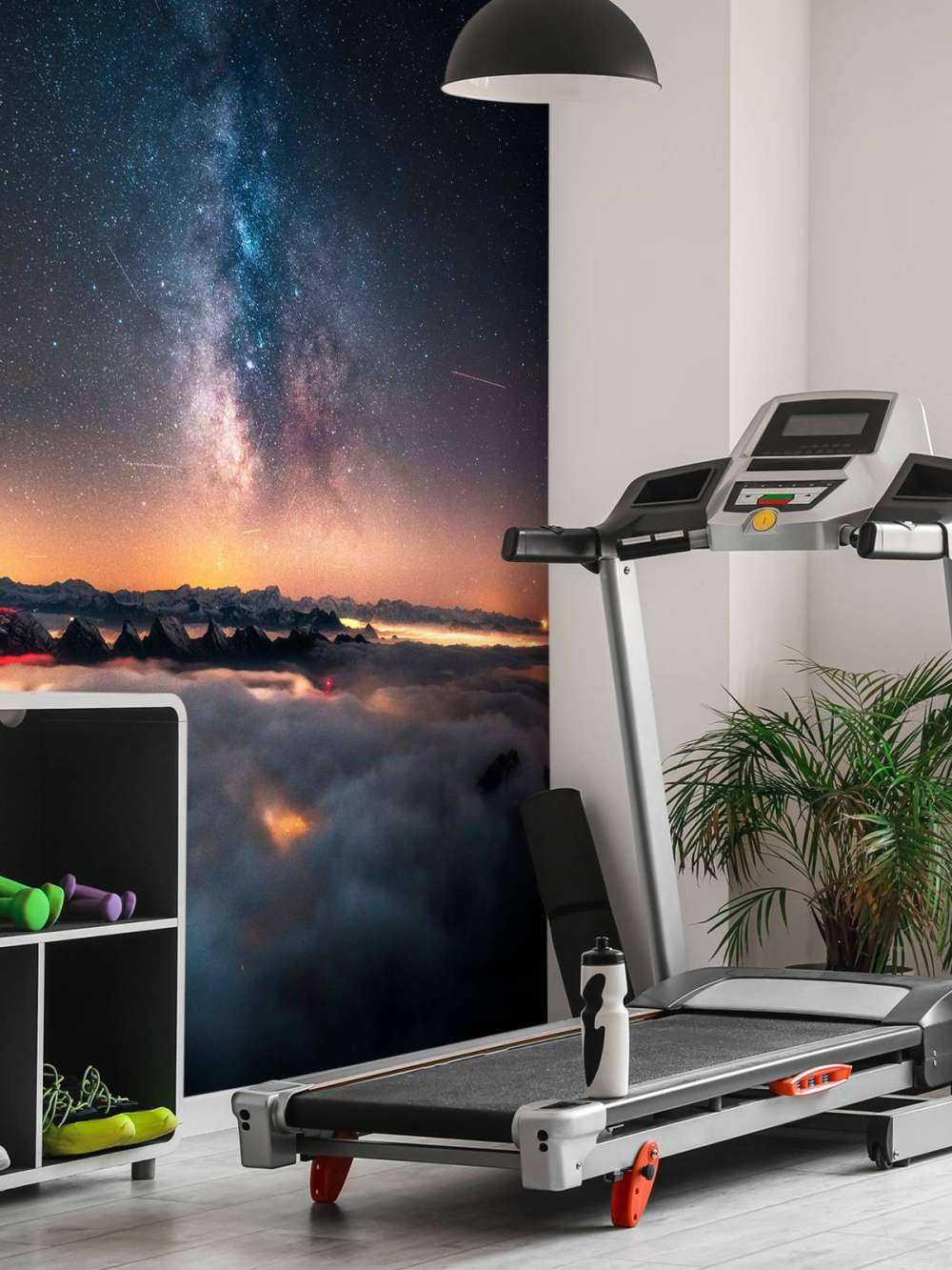 Melkweg boven nachtelijke bergflarden