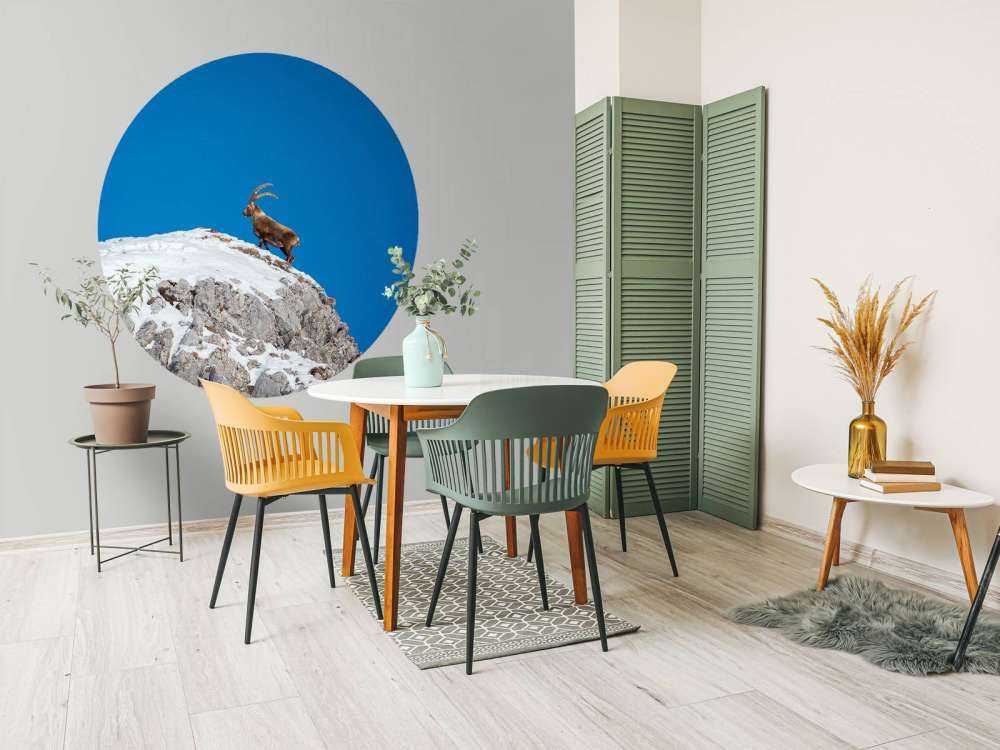 Steenbok op besneeuwde rotspiek