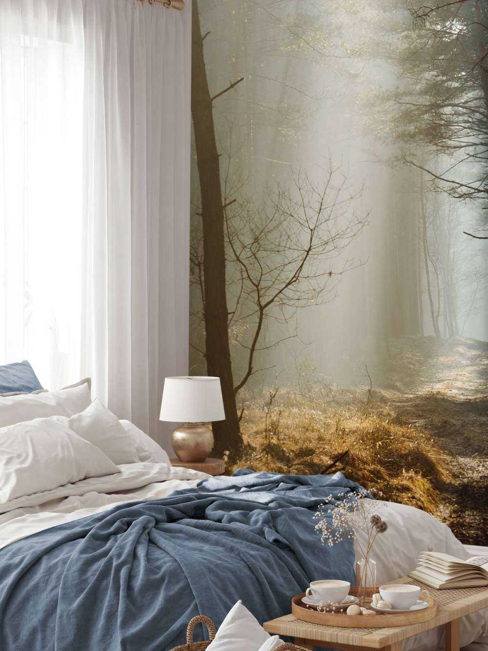 Zonnestralen in een Herfstig Bos