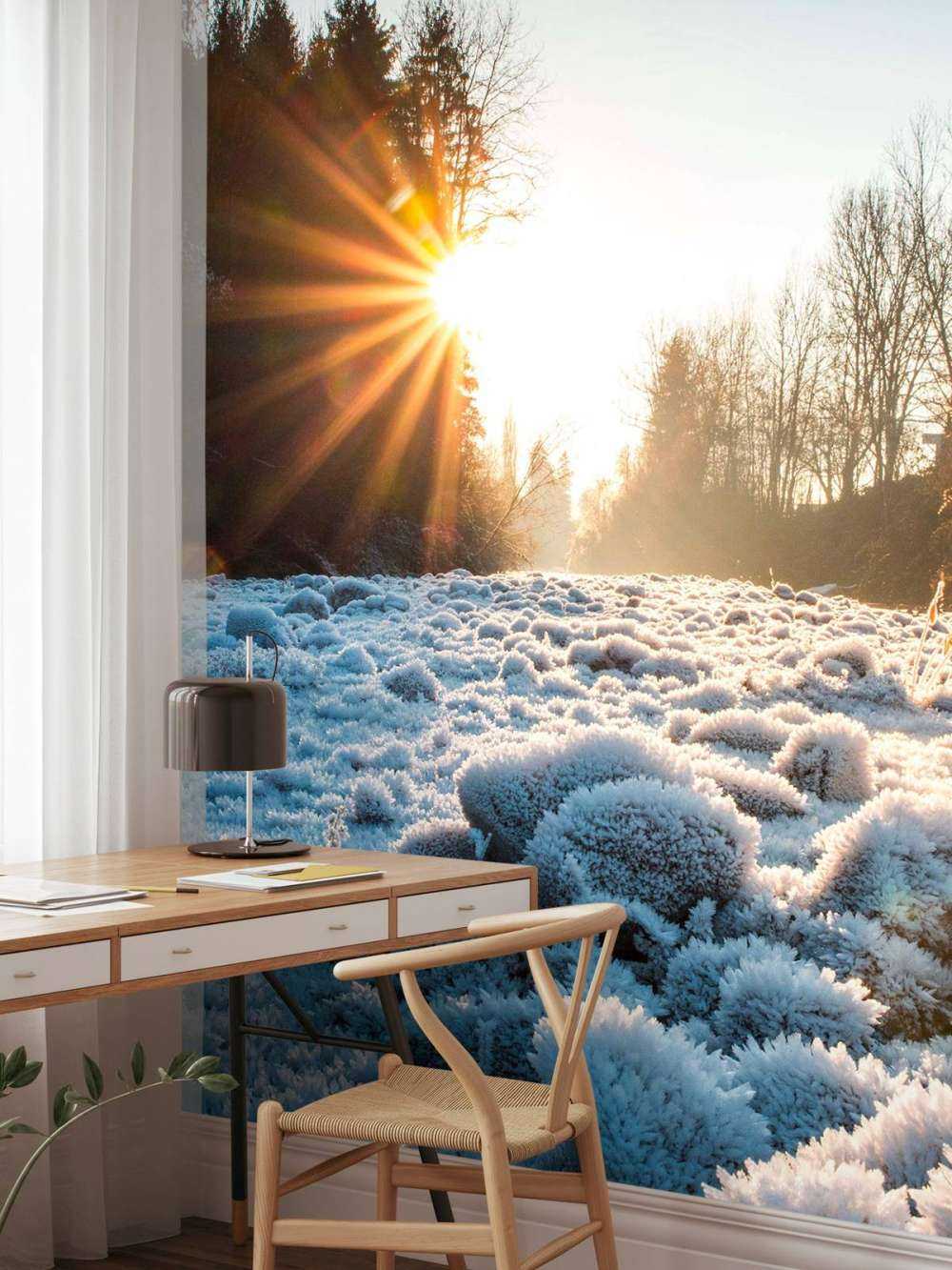 Ijzige ochtend in winterbos