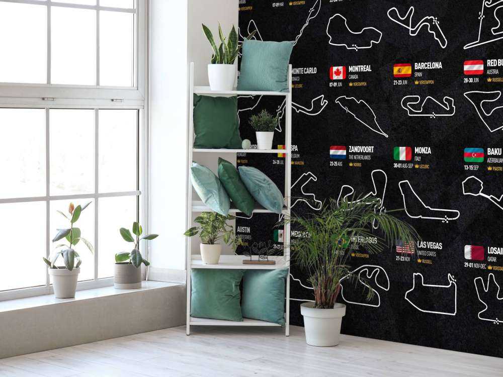 Formule 1 2024 - Winners map