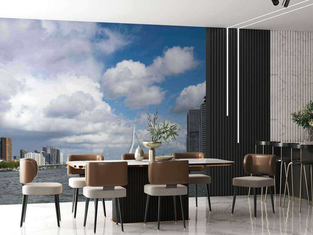 Stadszicht met Erasmusbrug