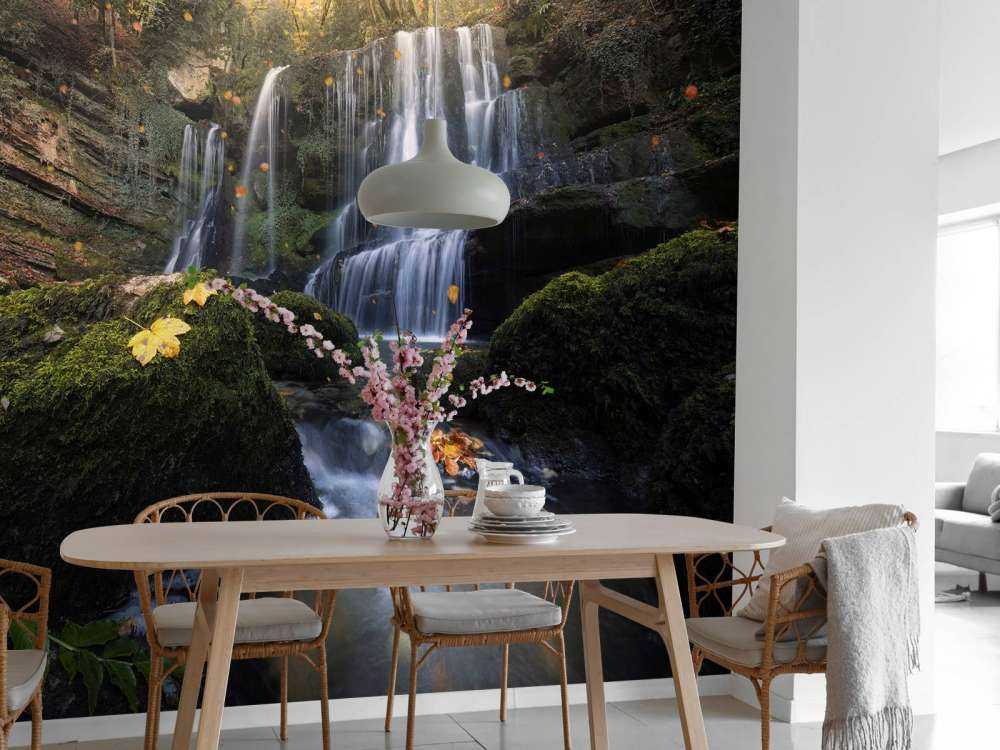 Herfstwaterval in het Woud