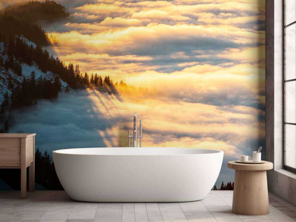 Zonlicht over besneeuwd bergwoud