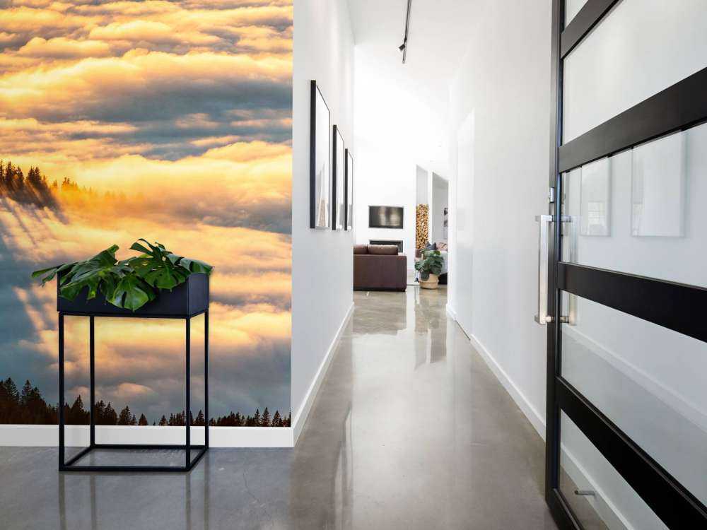 Zonlicht over besneeuwd bergwoud