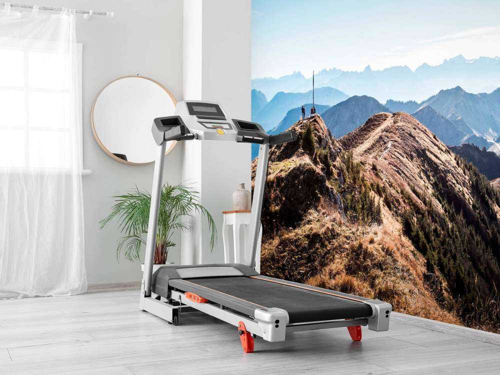 Herfstochtend op bergkam