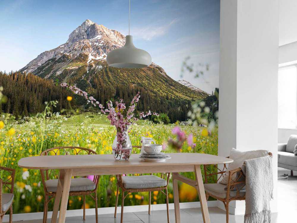 Bergtop boven bloemenweide