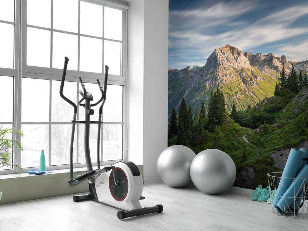 Avondzon op alpentoppen