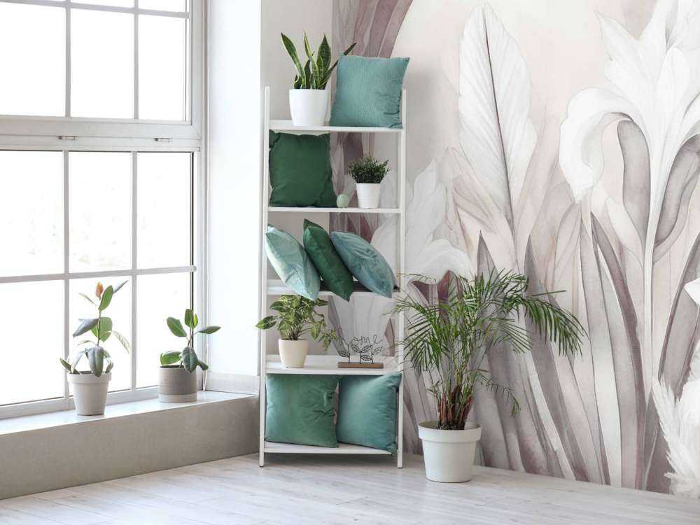 Irises at Sunrise Orange