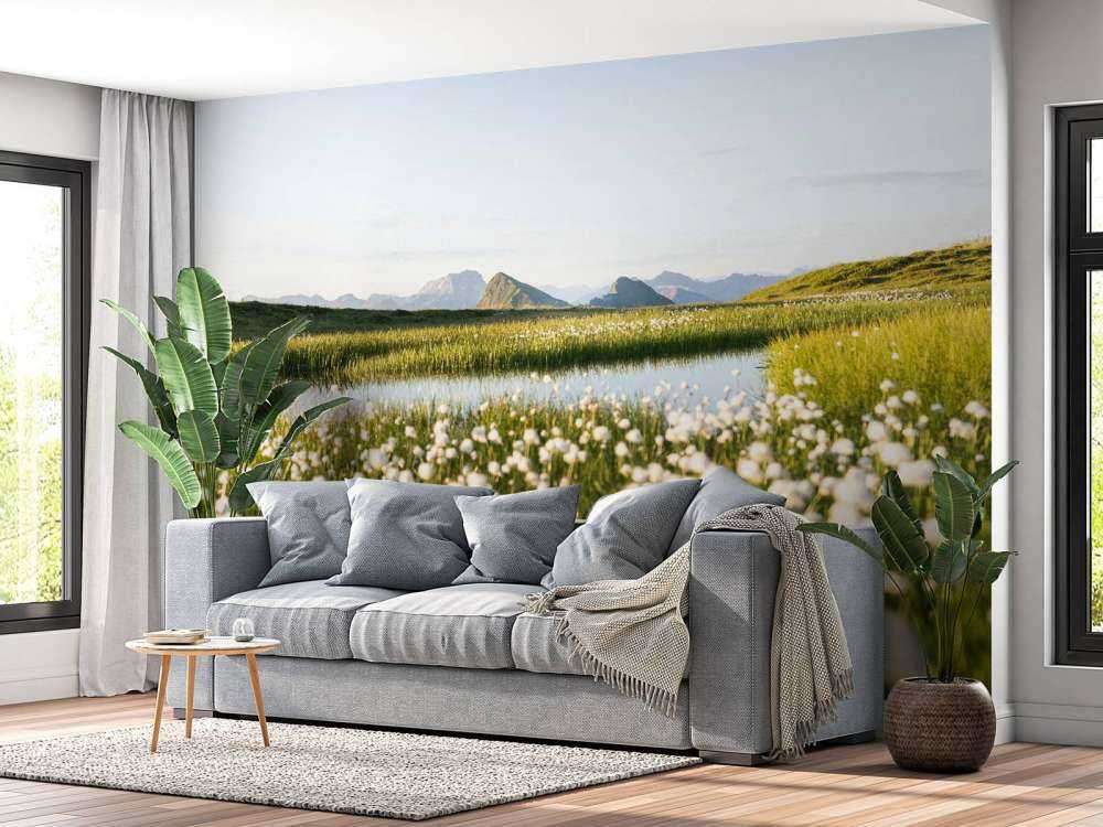 Zomerlicht over bloemrijk veenlandschap