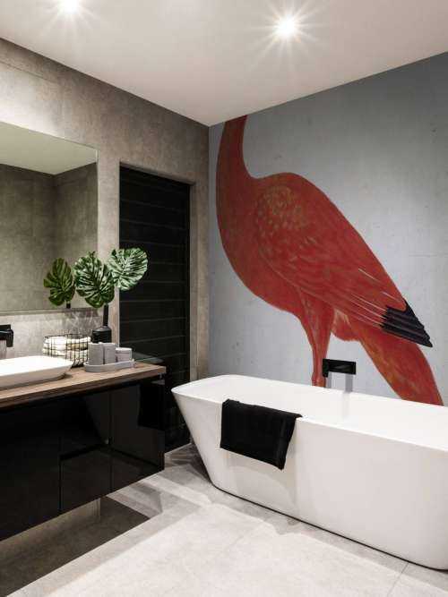 Rode Ibis met een ei