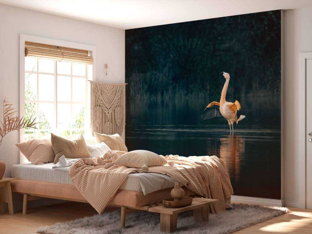 Flamingo in verlaten meer