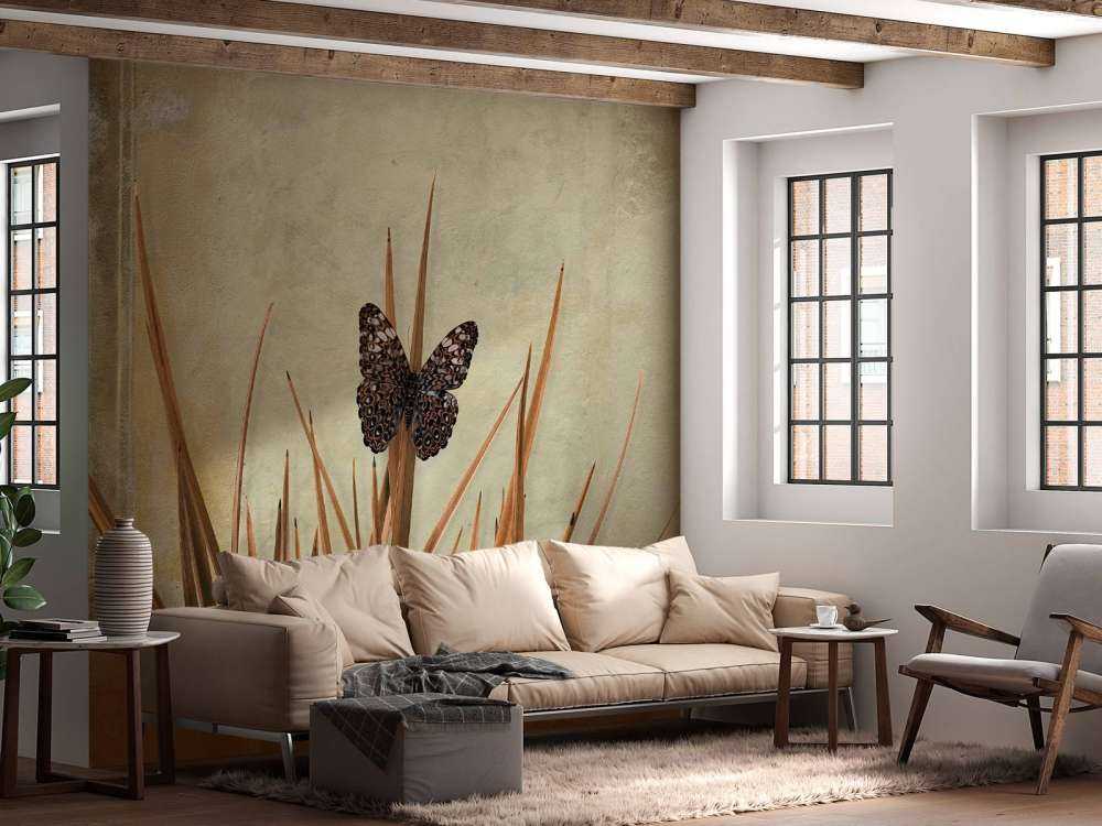 Vlinder bij oude muur