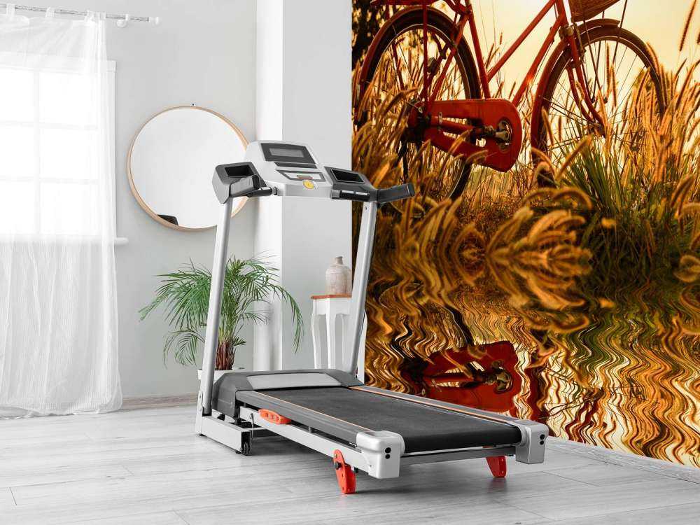 Fiets bij zonsondergang