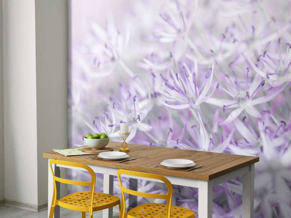 Allium bloemen close-up