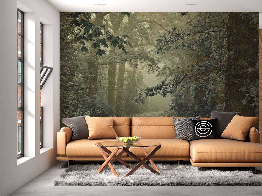 Pad door bos met mist