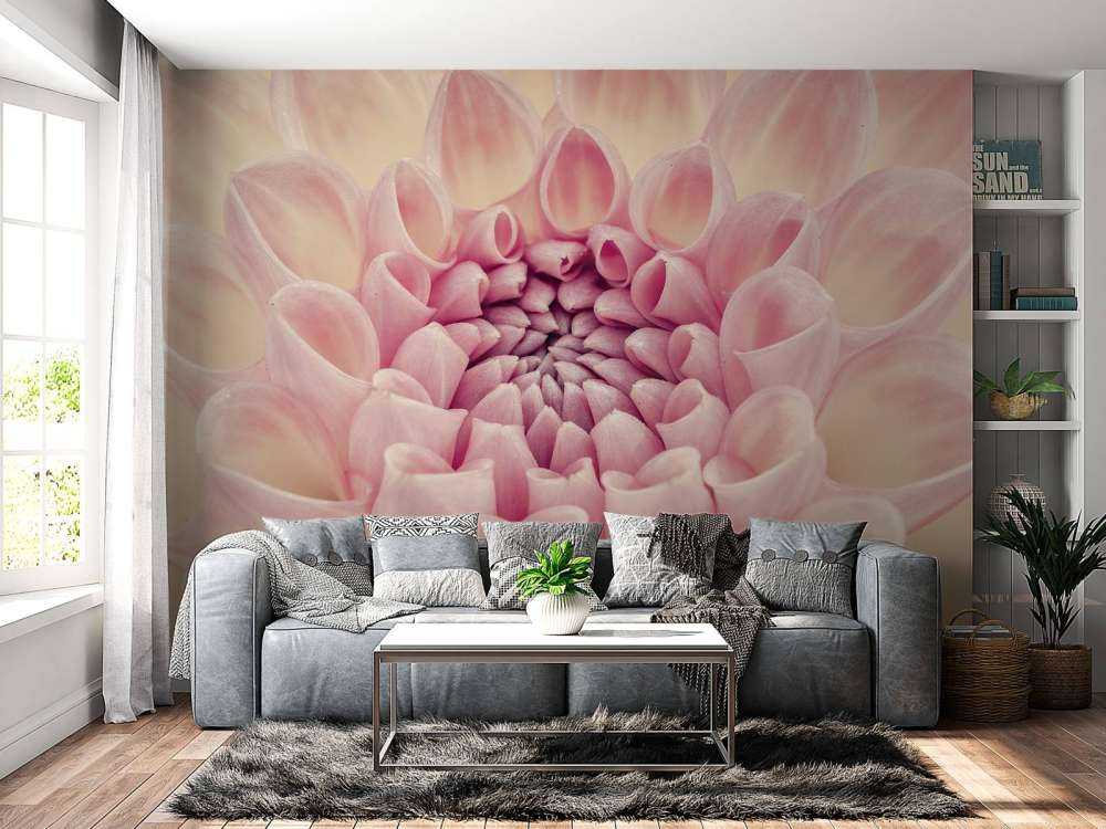 Dahlia close-up foto