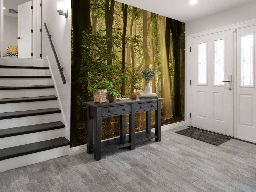 Oud bos met zonneharpen