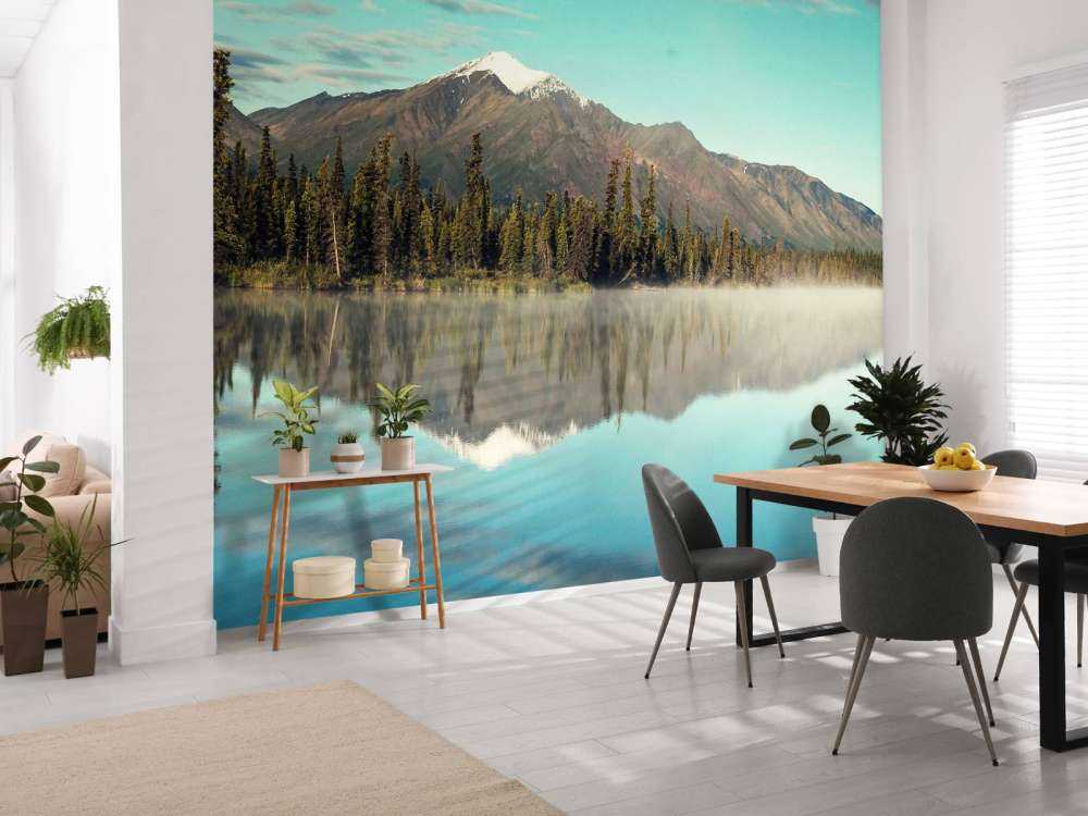 Landschap in Alaska