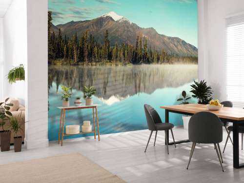 Landschap in Alaska