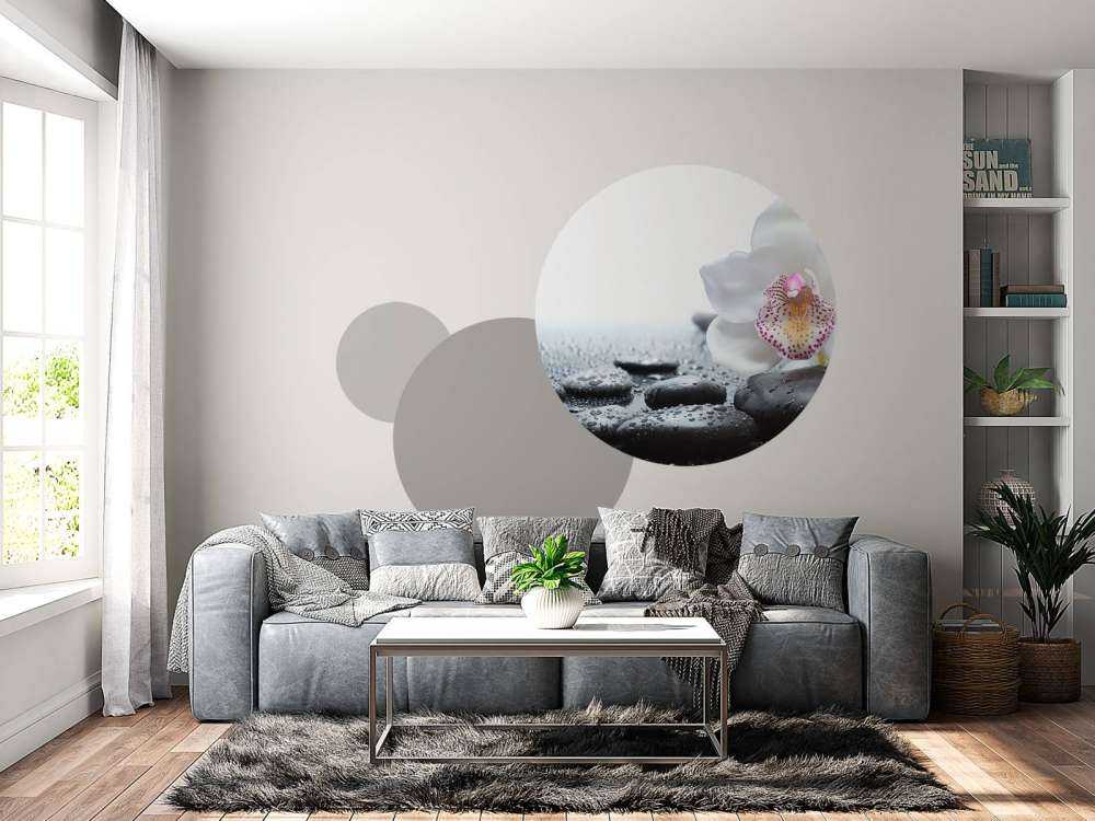 Witte orchidee
