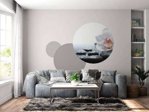 Witte orchidee