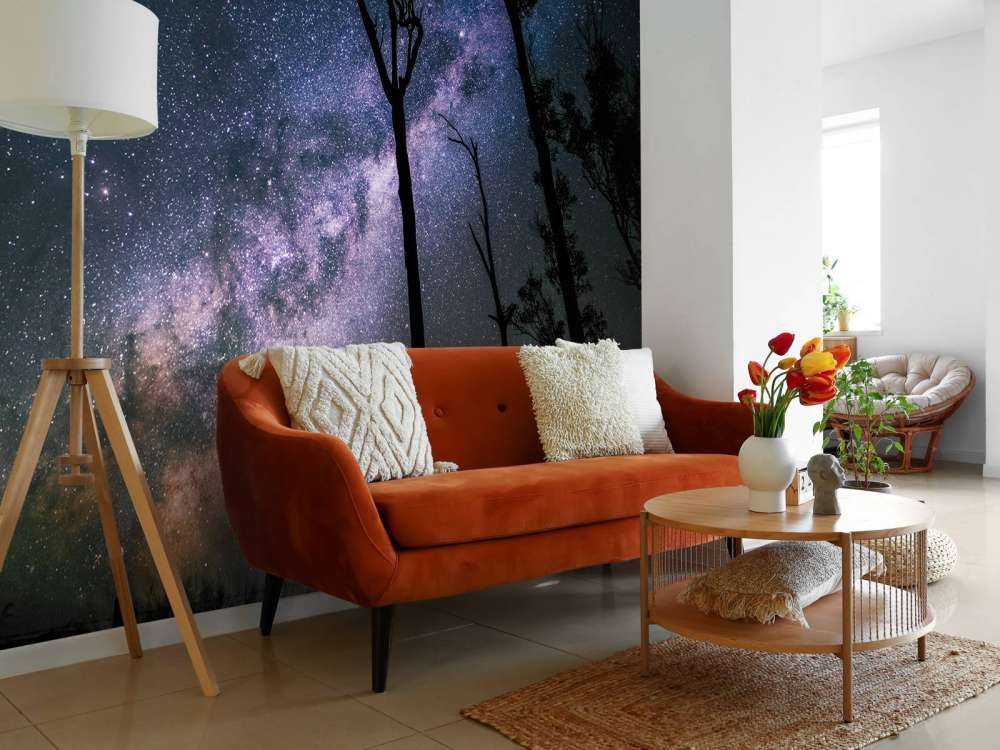 Sterren tussen de bomen