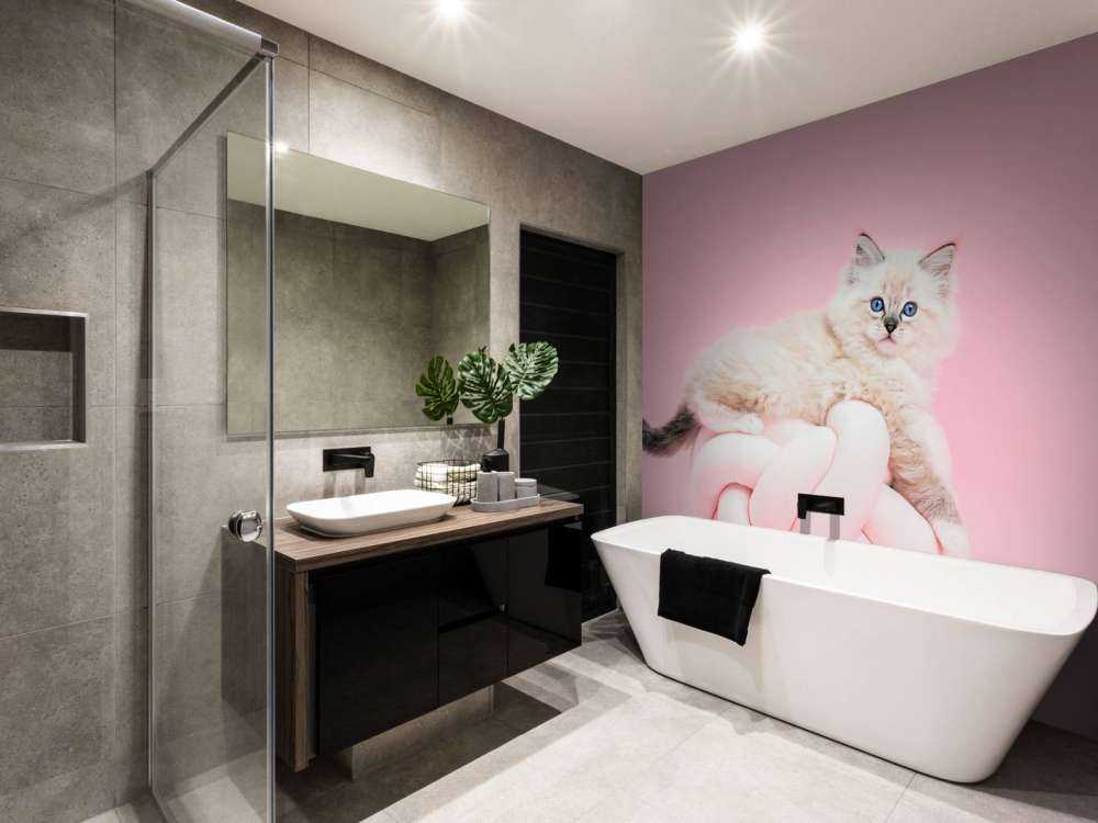 Witte poes op roze achtergrond