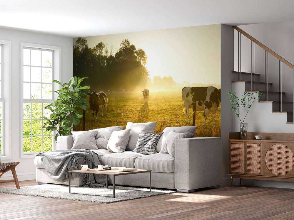 Koe tijdens zonsopkomst