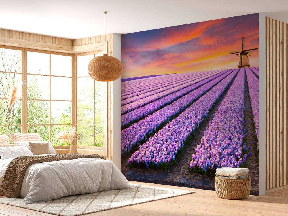 Blauwe druifjes
