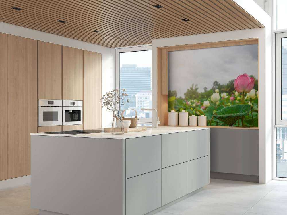 Roze en witte lotusbloemen