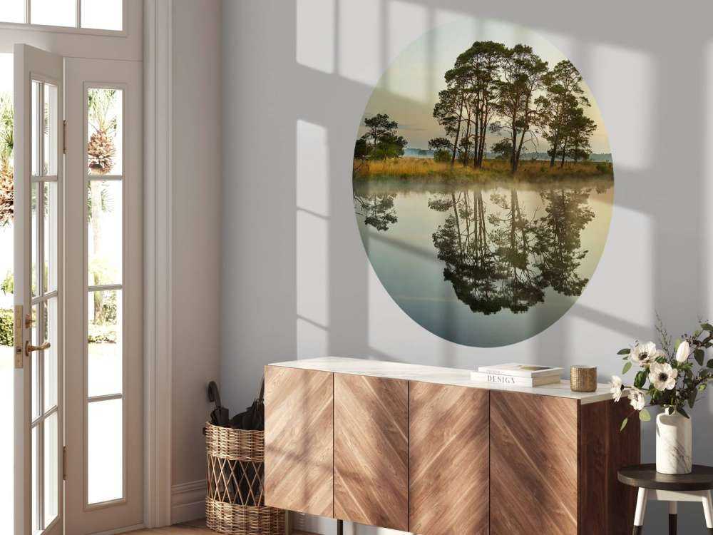 Reflectie in bosven