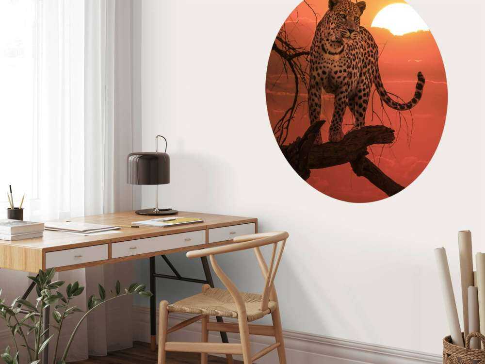 Luipaard met ondergaande zon