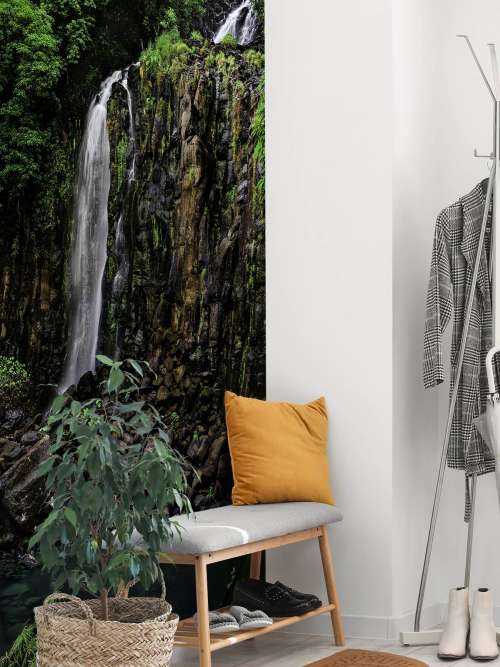 Millaa Millaa waterval