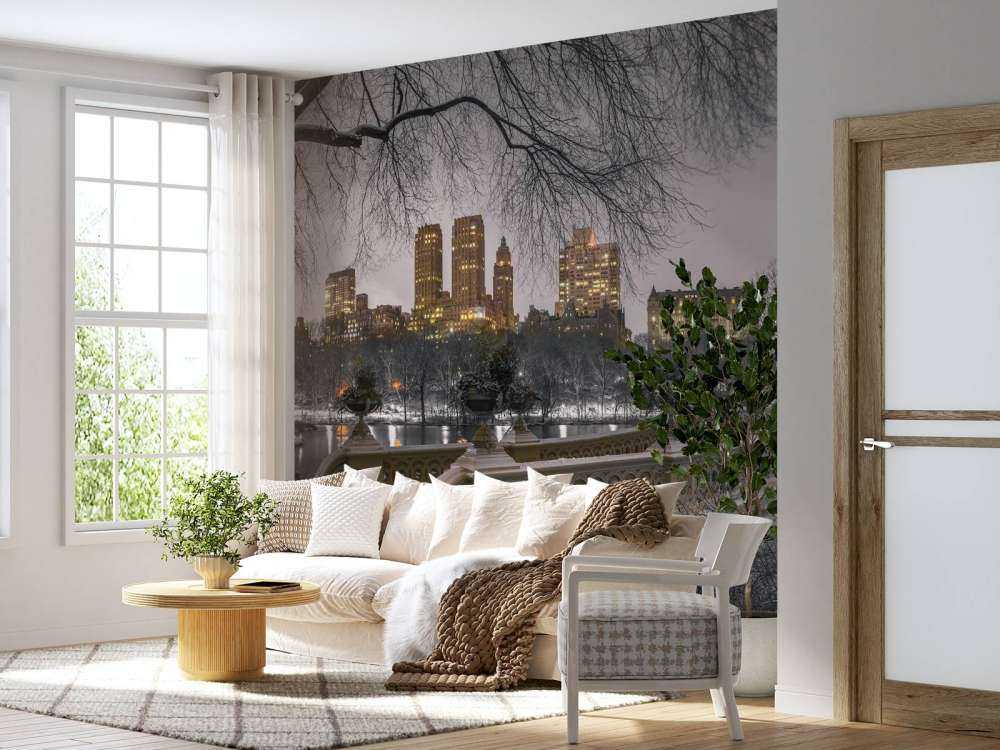 Central park en Manhattan