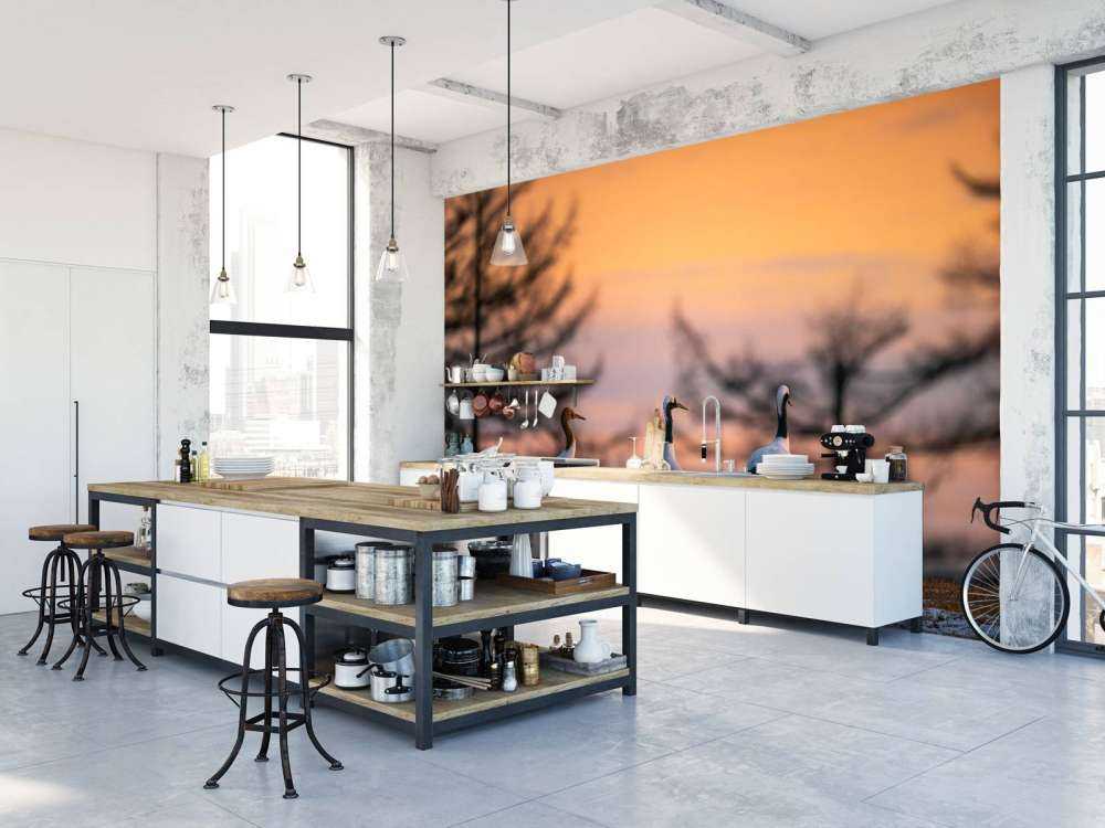 Kraanvogels bij zonsondergang