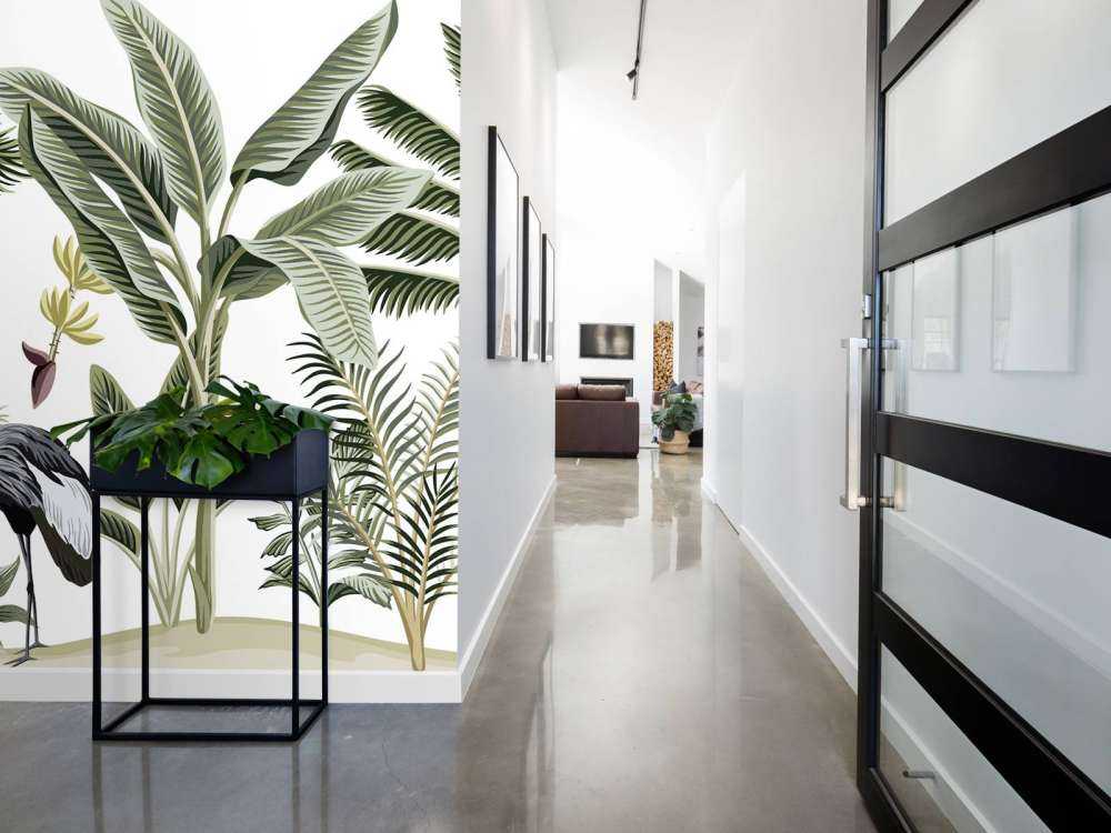 Kraanvogels in de jungle